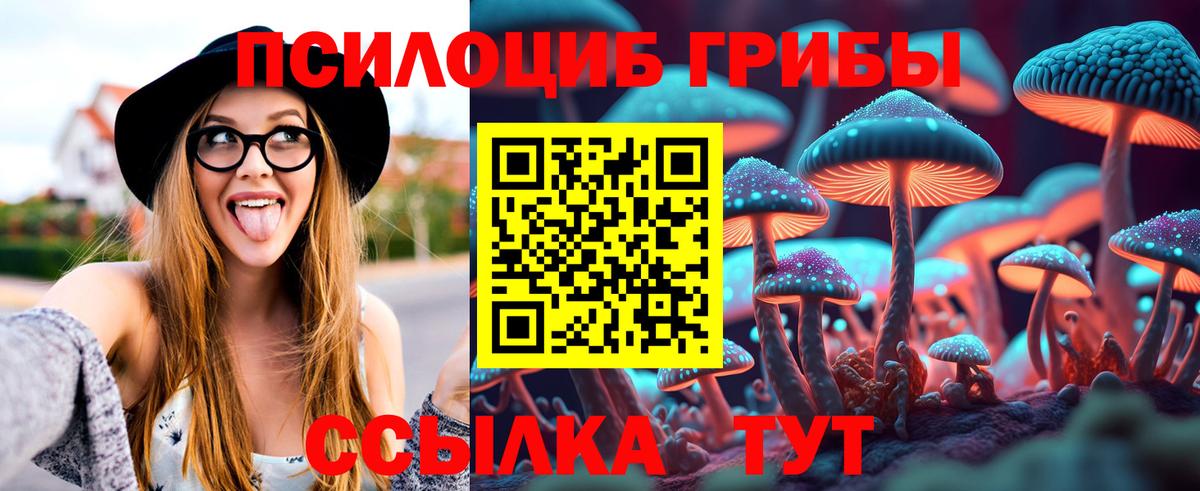 Серпухов  Галлюциногенные грибы мицелий  Вход с VPN 